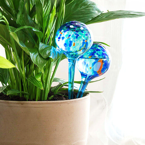 Elegant Glas Vandingsspyd til Plantepleje - Optimal Vanding