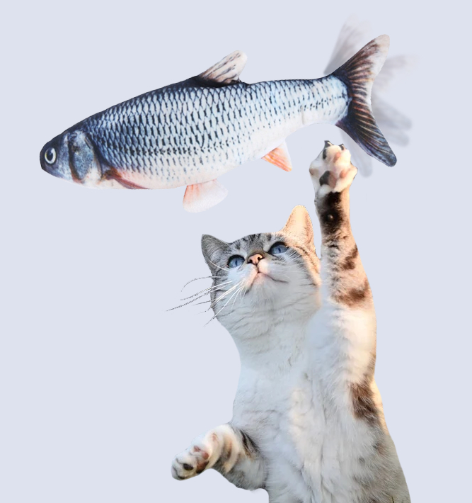 Sprællende  Legefisk  Til  Katte fra Dingadget