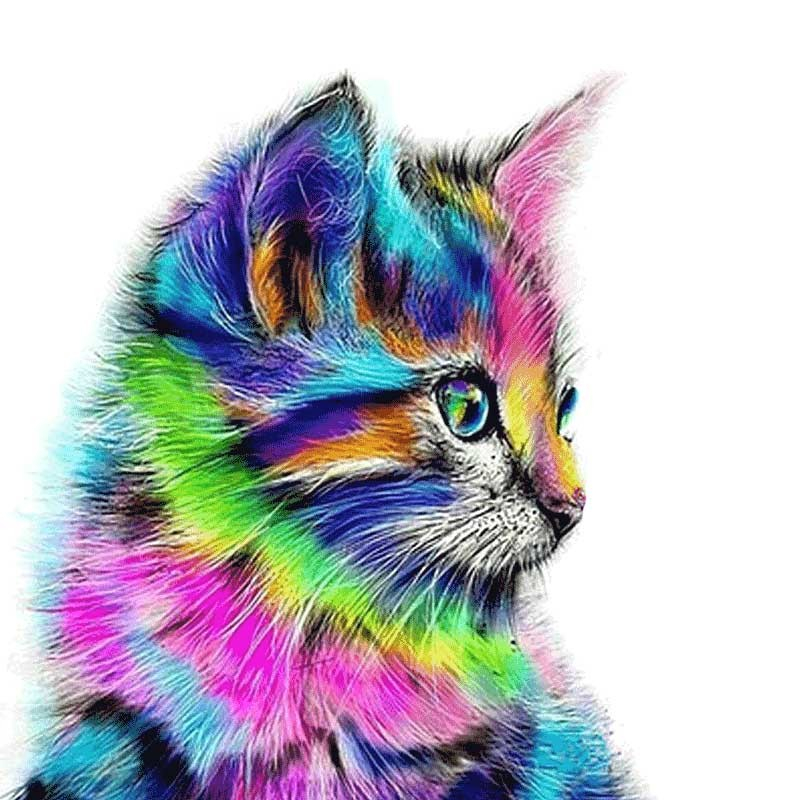 Katte Motiv 5d Diamond Paint     40 X 40 Cm fra Dingadget