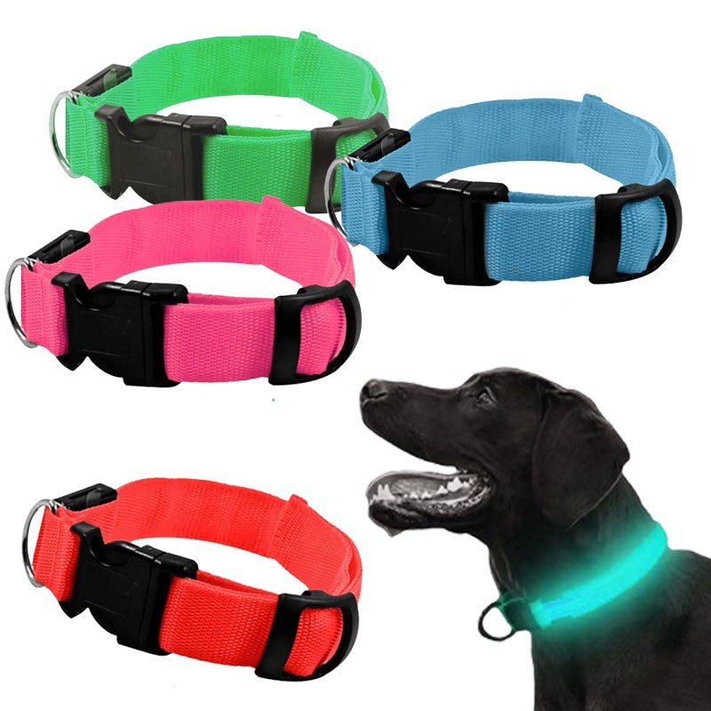 Hundehalsbånd Med Led Lys Rød fra Dingadget